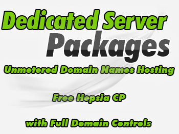 Inexpensive dedicated hosting servers services